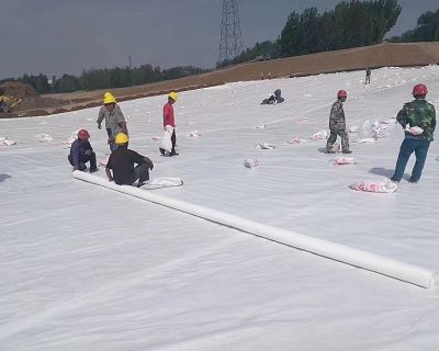 На які проблеми слід звернути увагу при прокату георешіток зі скловолокна