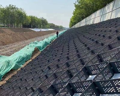Яке основне призначення георешітки