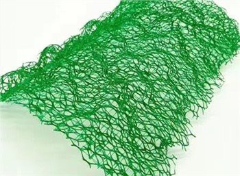 3D Геомат рослинності